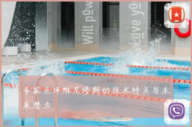 专家点评维尼修斯的技术特点与未来潜力