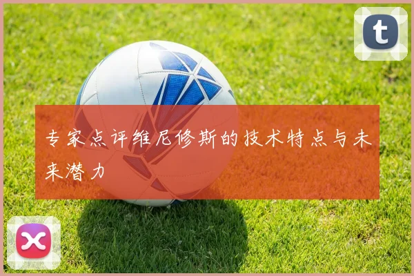 专家点评维尼修斯的技术特点与未来潜力