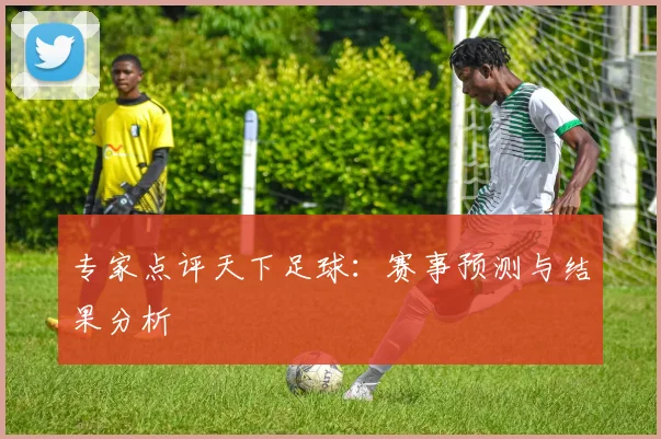 专家点评天下足球：赛事预测与结果分析